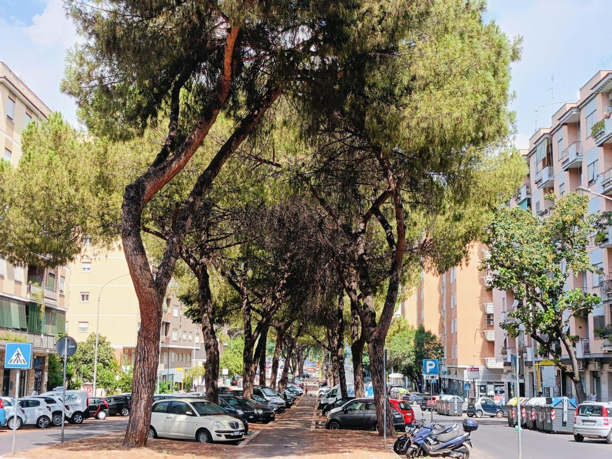 Leonardo Luxury 176 Apartamento *